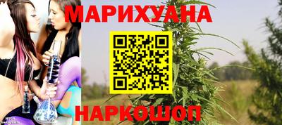 не бодяженный Гай